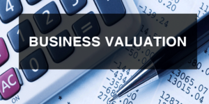 Business Valution Studies